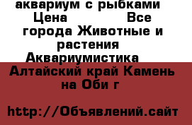 аквариум с рыбками › Цена ­ 15 000 - Все города Животные и растения » Аквариумистика   . Алтайский край,Камень-на-Оби г.